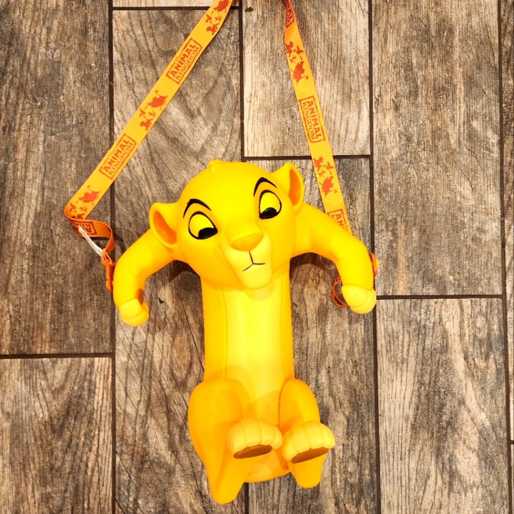 Disney Popcorn Bucket